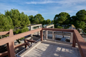 Foto exteriores arboles
