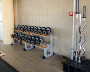 Foto mancuernas gimnasio