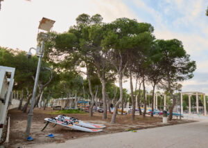Foto patalán canoas en soportes