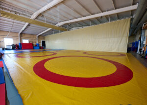 Foto tatami de lucha