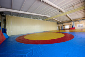 Foto tatami de lucha