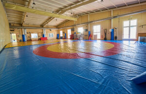 Foto tatami de lucha