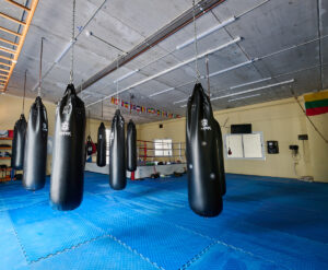Foto sacos de Boxeo
