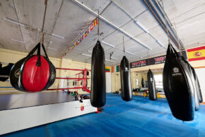 Foto sacos de Boxeo